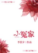 小冤家封面